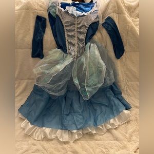 Adult XL Cinderella Halloween costume